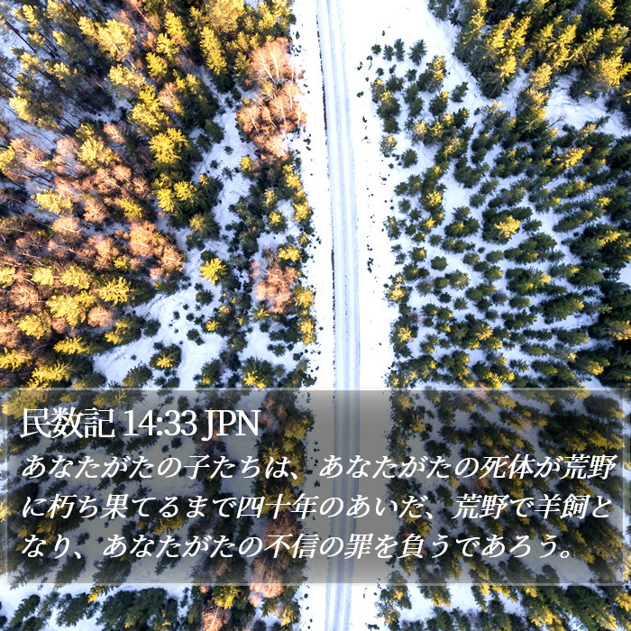 民数記 14:33 JPN Bible Study