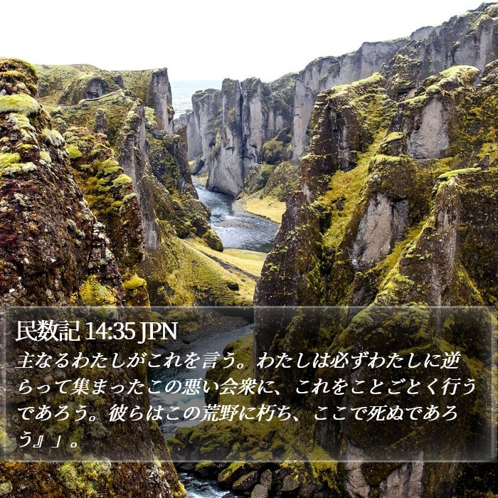 民数記 14:35 JPN Bible Study