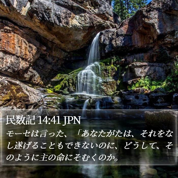 民数記 14:41 JPN Bible Study