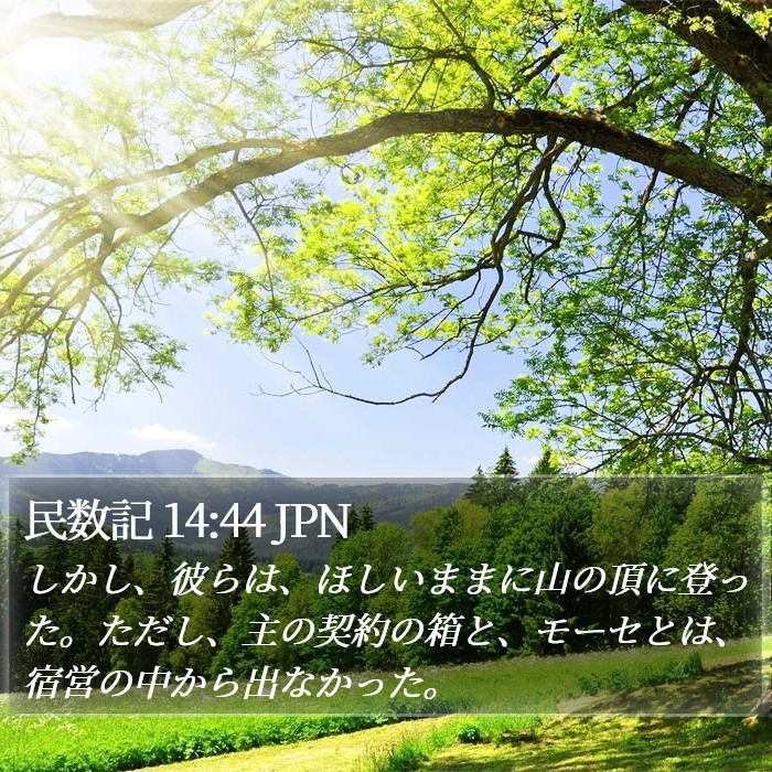 民数記 14:44 JPN Bible Study