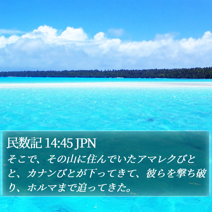 民数記 14:45 JPN Bible Study