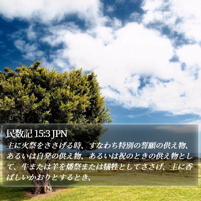 民数記 15:3 JPN Bible Study