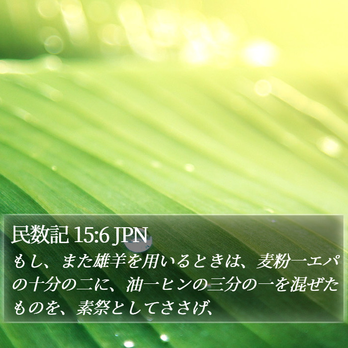 民数記 15:6 JPN Bible Study