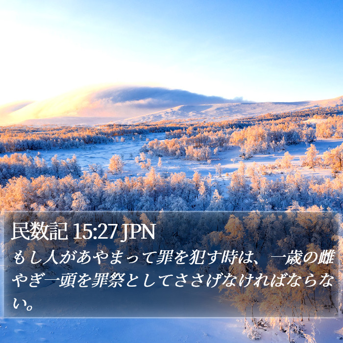 民数記 15:27 JPN Bible Study