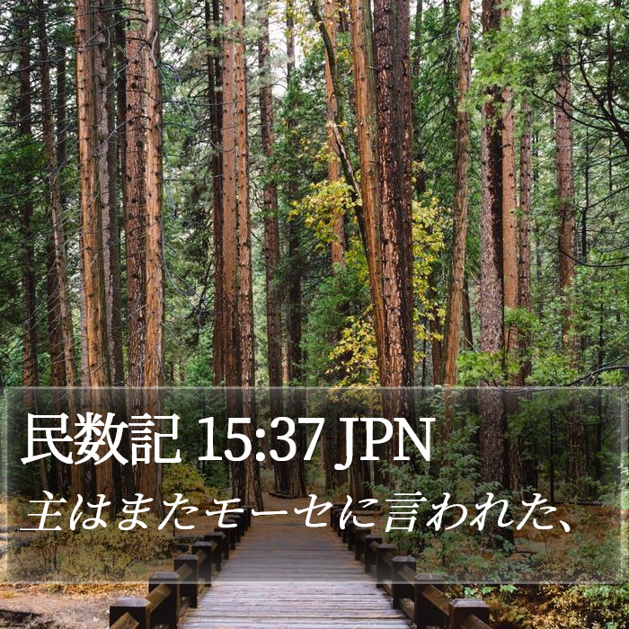 民数記 15:37 JPN Bible Study