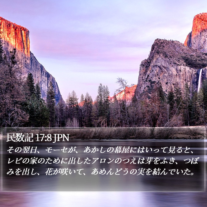 民数記 17:8 JPN Bible Study