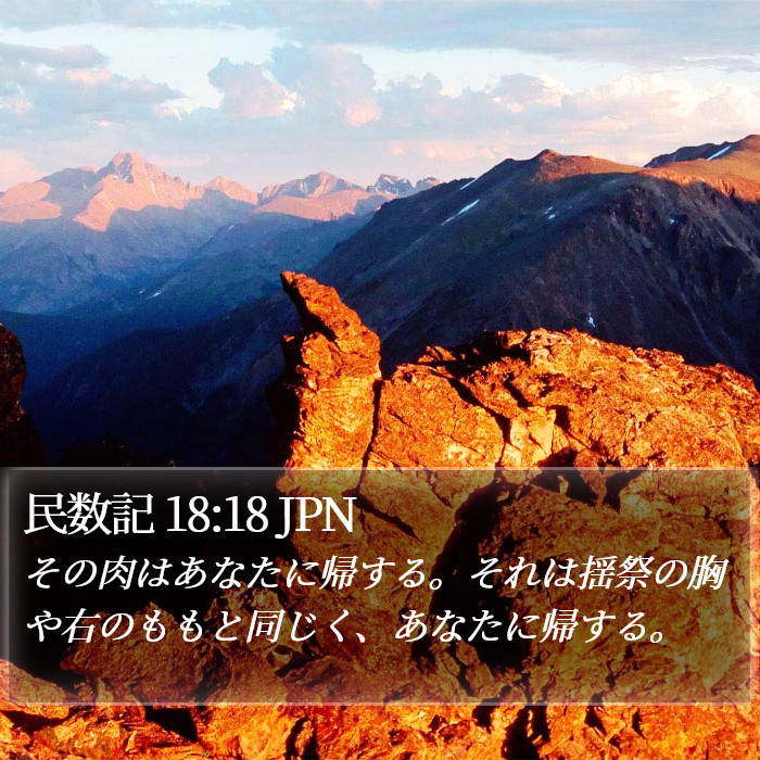 民数記 18:18 JPN Bible Study