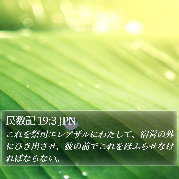 民数記 19:3 JPN Bible Study