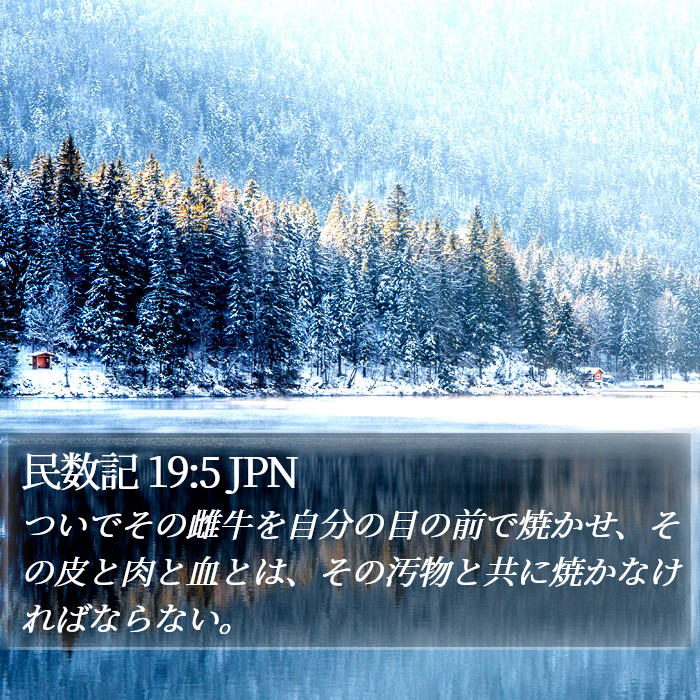 民数記 19:5 JPN Bible Study