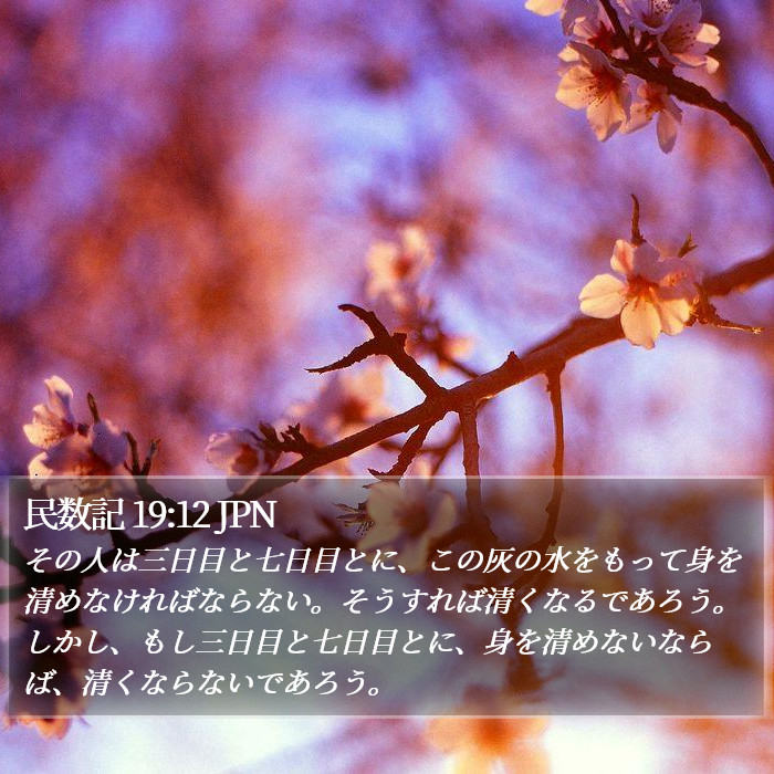 民数記 19:12 JPN Bible Study