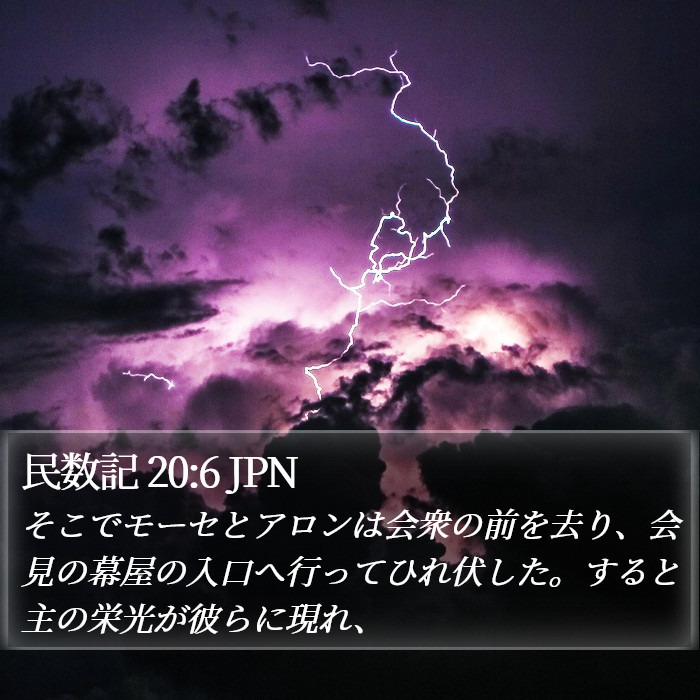 民数記 20:6 JPN Bible Study