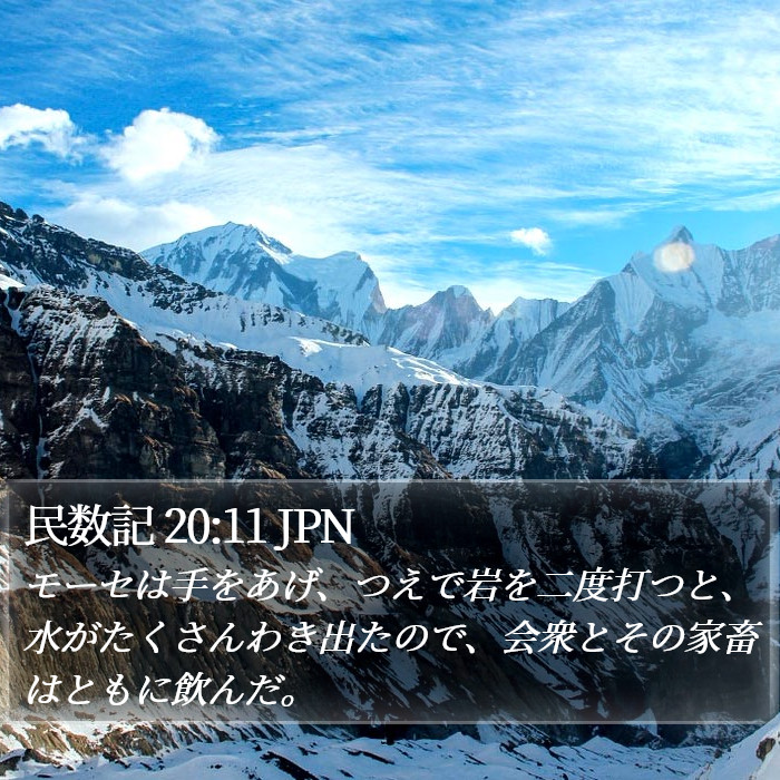 民数記 20:11 JPN Bible Study