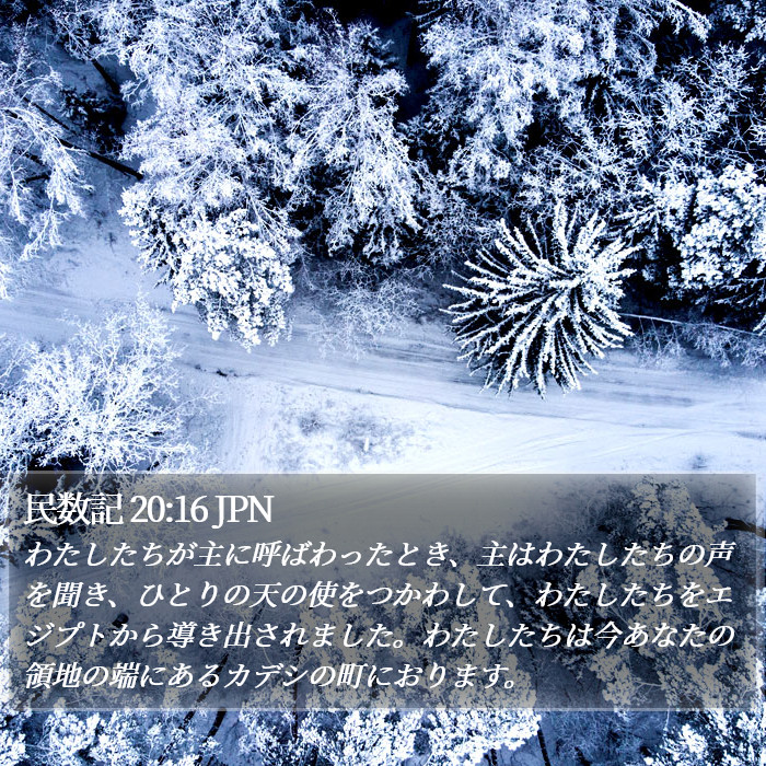 民数記 20:16 JPN Bible Study