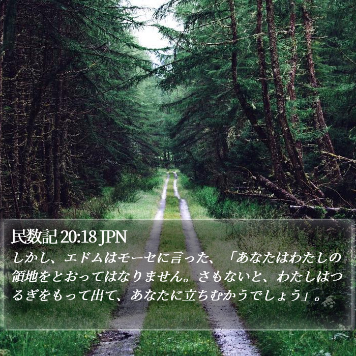 民数記 20:18 JPN Bible Study