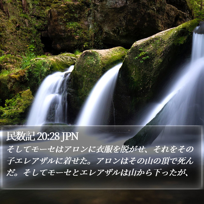 民数記 20:28 JPN Bible Study