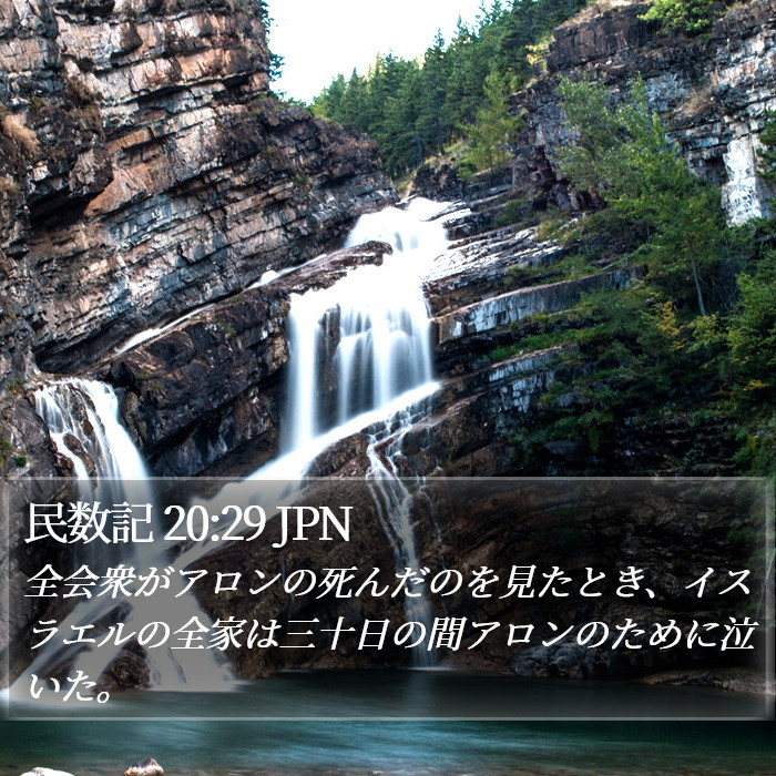 民数記 20:29 JPN Bible Study