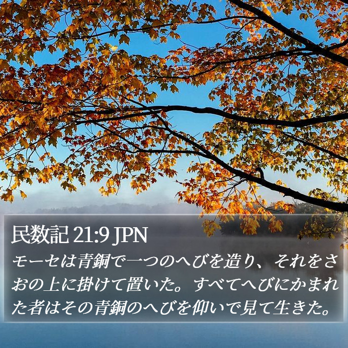 民数記 21:9 JPN Bible Study