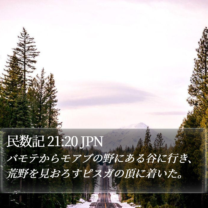 民数記 21:20 JPN Bible Study