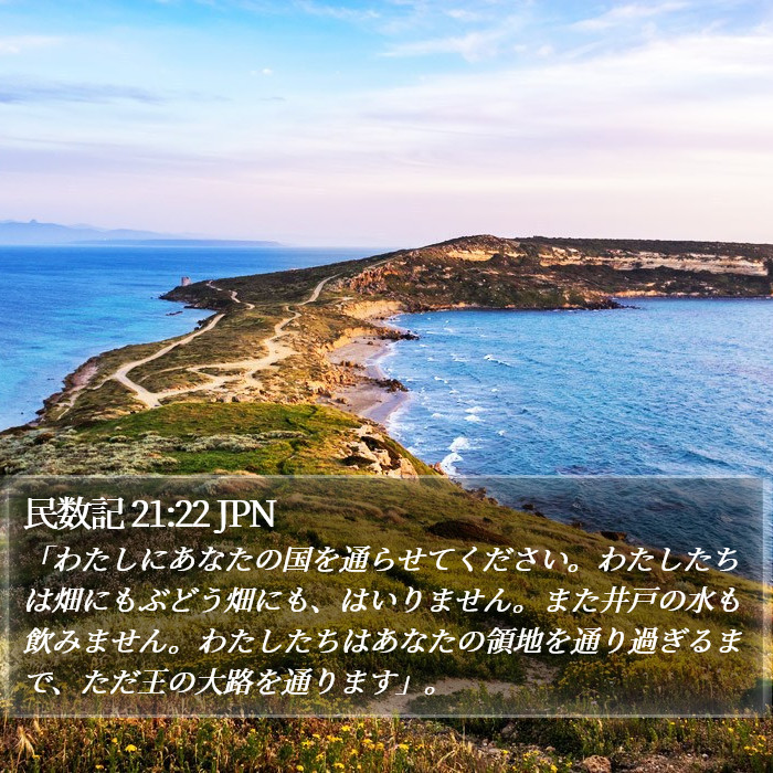 民数記 21:22 JPN Bible Study