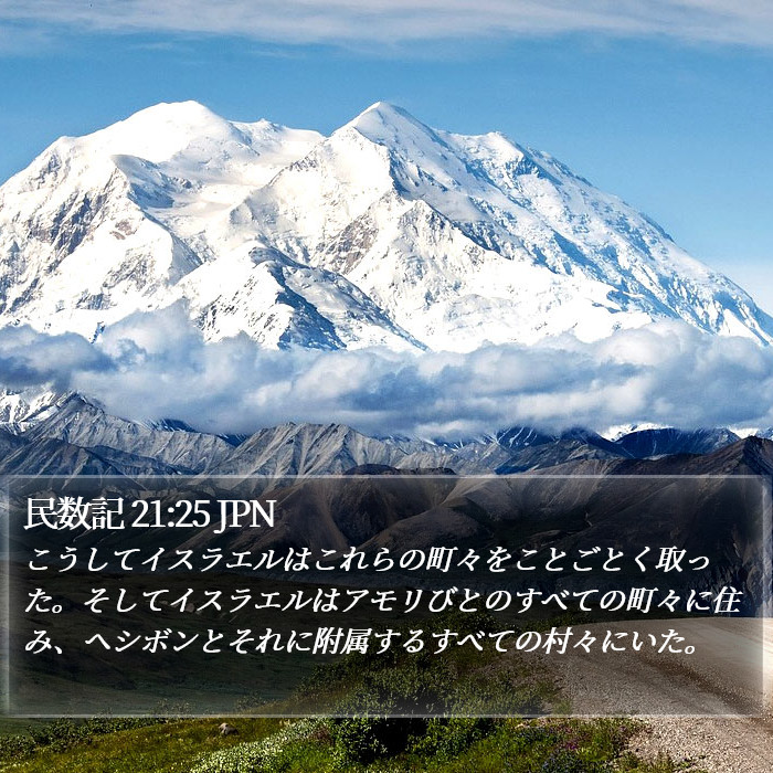 民数記 21:25 JPN Bible Study