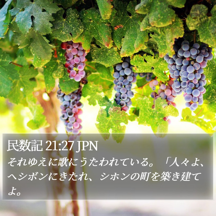 民数記 21:27 JPN Bible Study