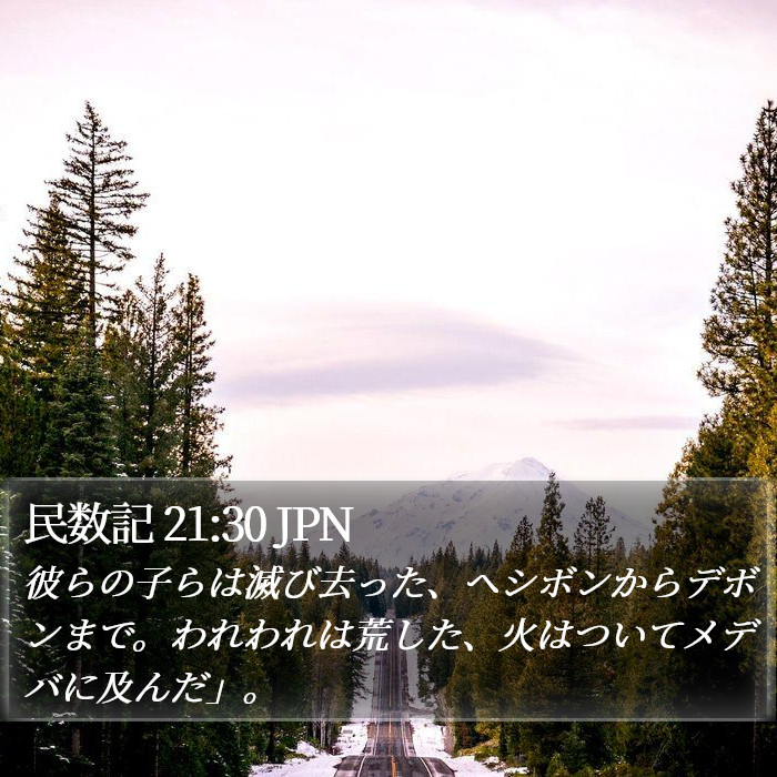 民数記 21:30 JPN Bible Study