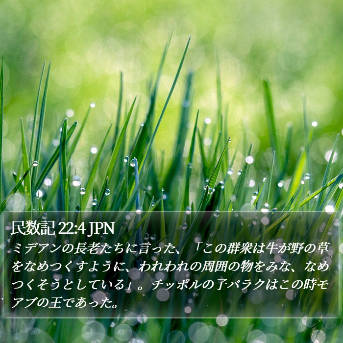 民数記 22:4 JPN Bible Study