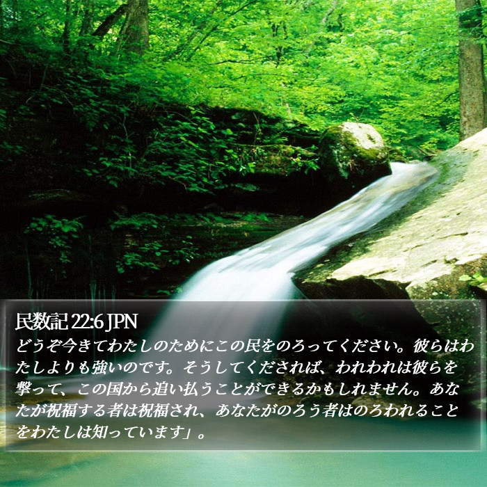 民数記 22:6 JPN Bible Study