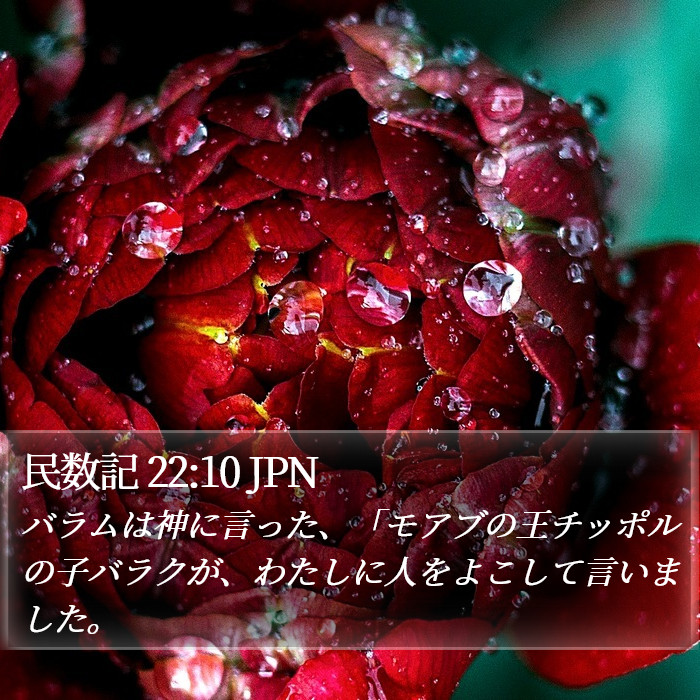 民数記 22:10 JPN Bible Study