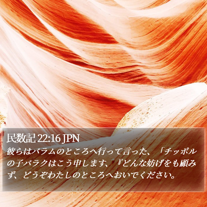 民数記 22:16 JPN Bible Study