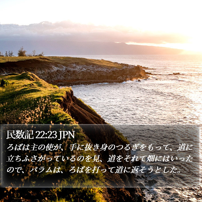 民数記 22:23 JPN Bible Study