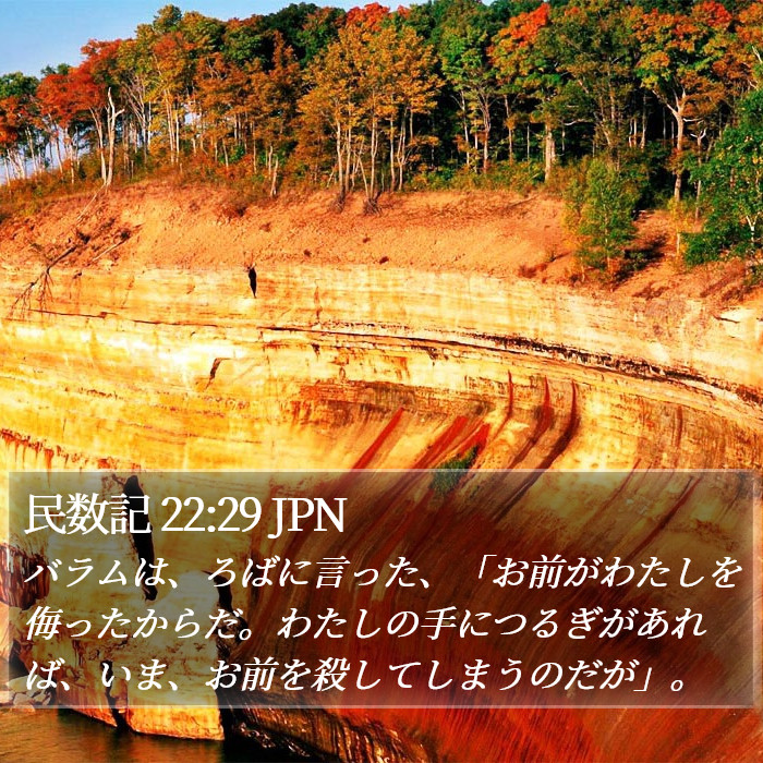 民数記 22:29 JPN Bible Study