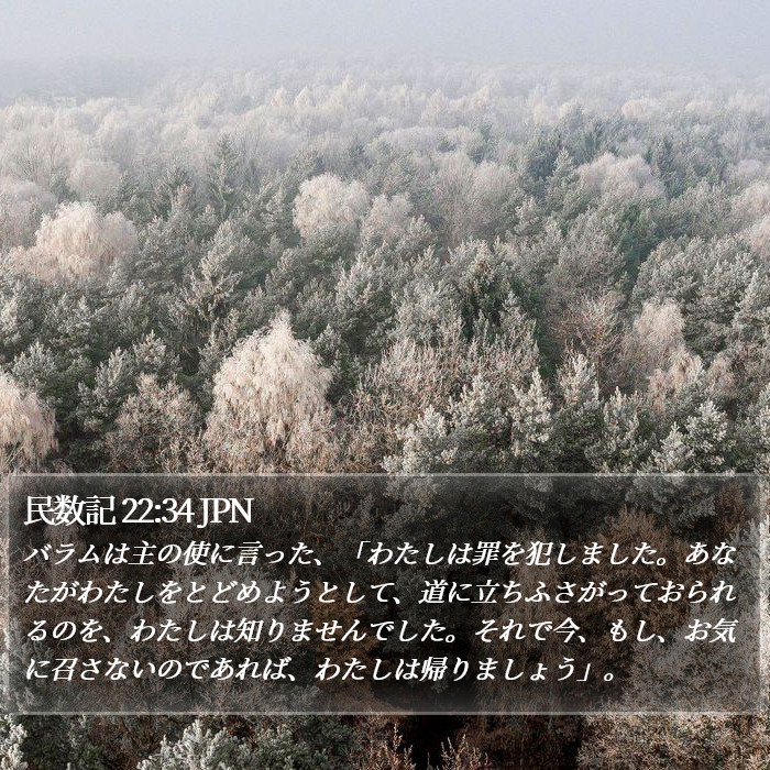 民数記 22:34 JPN Bible Study