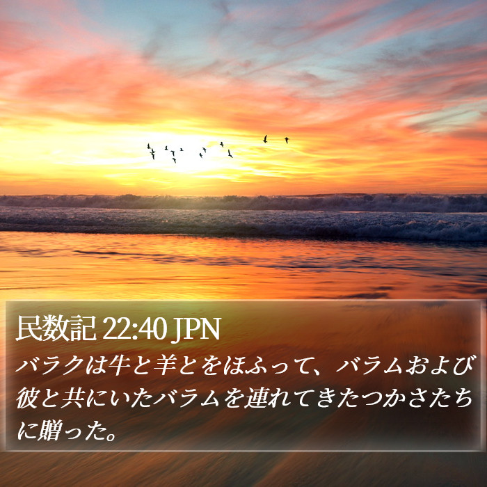 民数記 22:40 JPN Bible Study