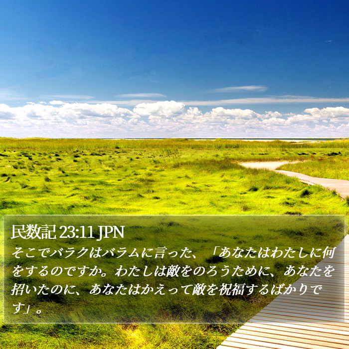 民数記 23:11 JPN Bible Study