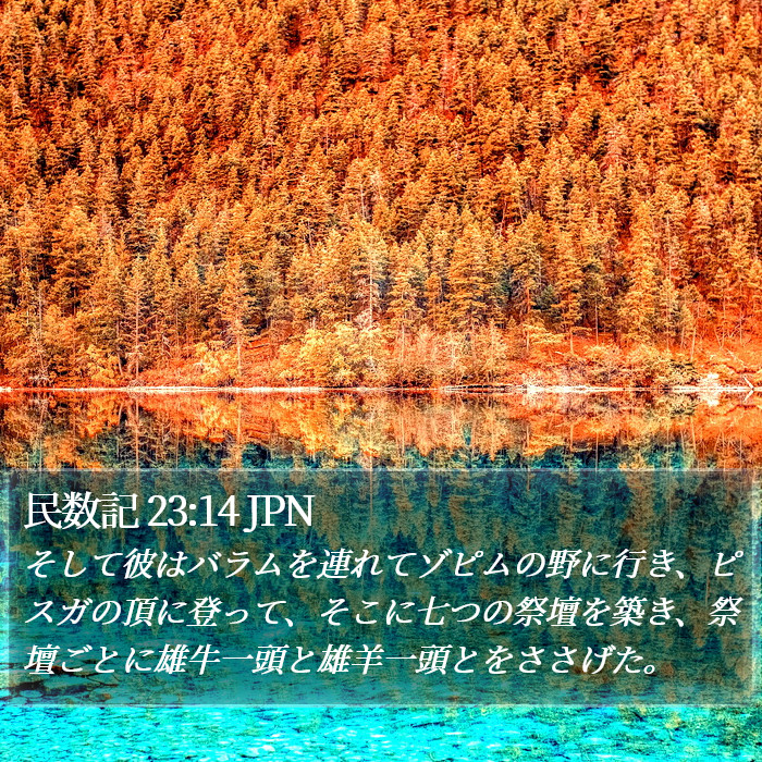 民数記 23:14 JPN Bible Study