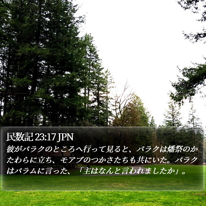 民数記 23:17 JPN Bible Study