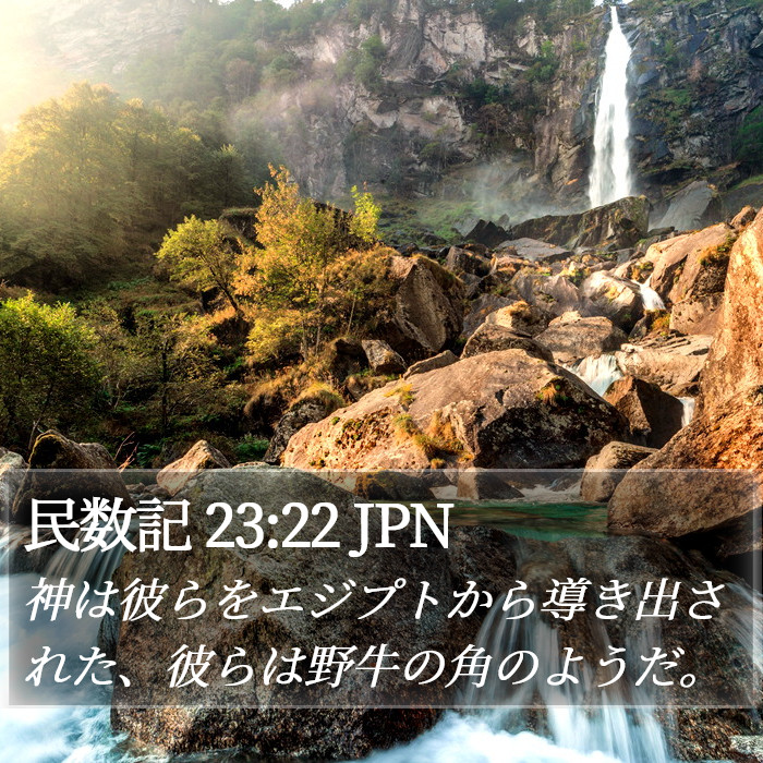 民数記 23:22 JPN Bible Study