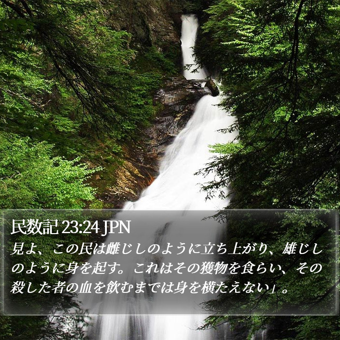 民数記 23:24 JPN Bible Study