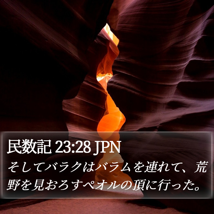 民数記 23:28 JPN Bible Study