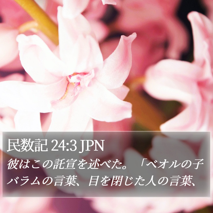 民数記 24:3 JPN Bible Study