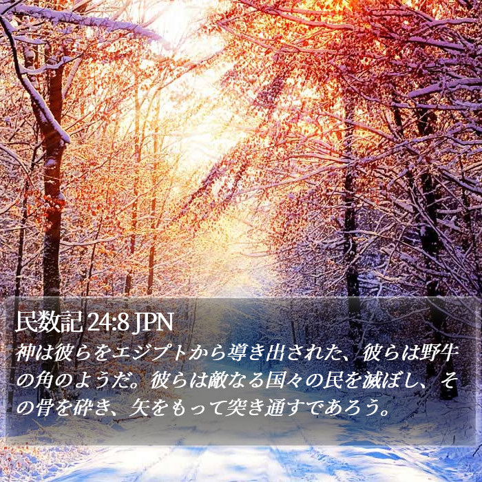 民数記 24:8 JPN Bible Study