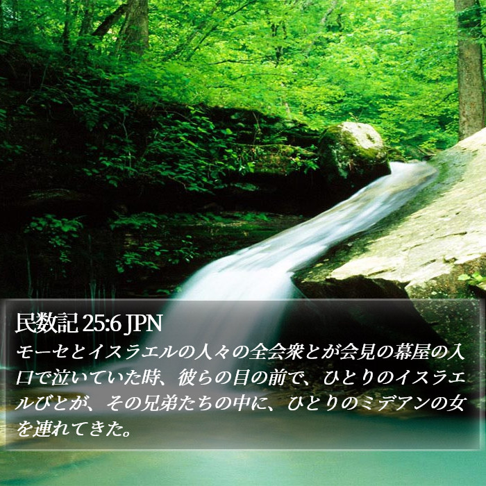 民数記 25:6 JPN Bible Study