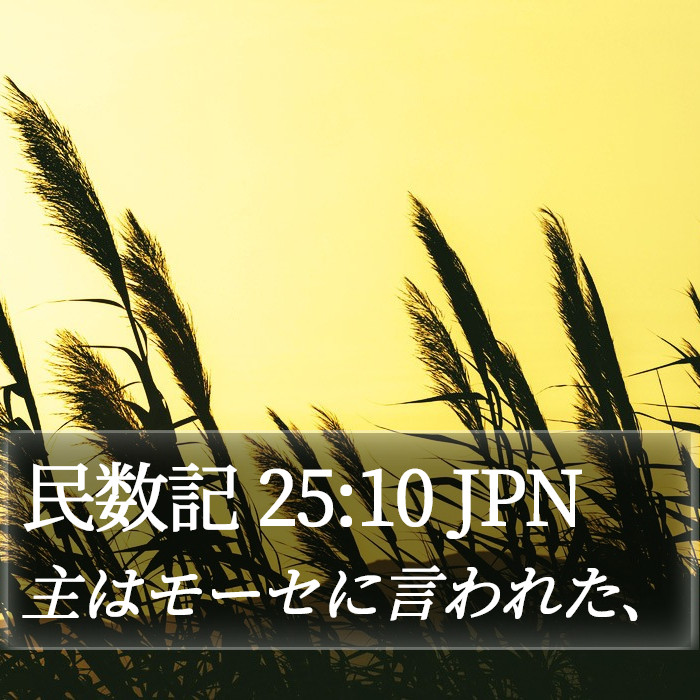 民数記 25:10 JPN Bible Study