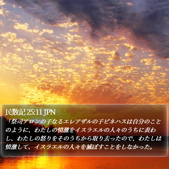 民数記 25:11 JPN Bible Study