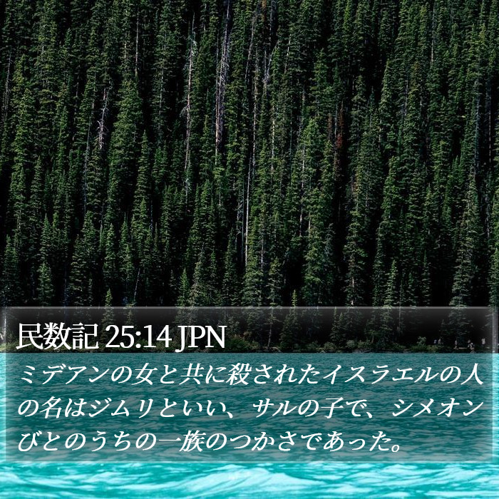 民数記 25:14 JPN Bible Study