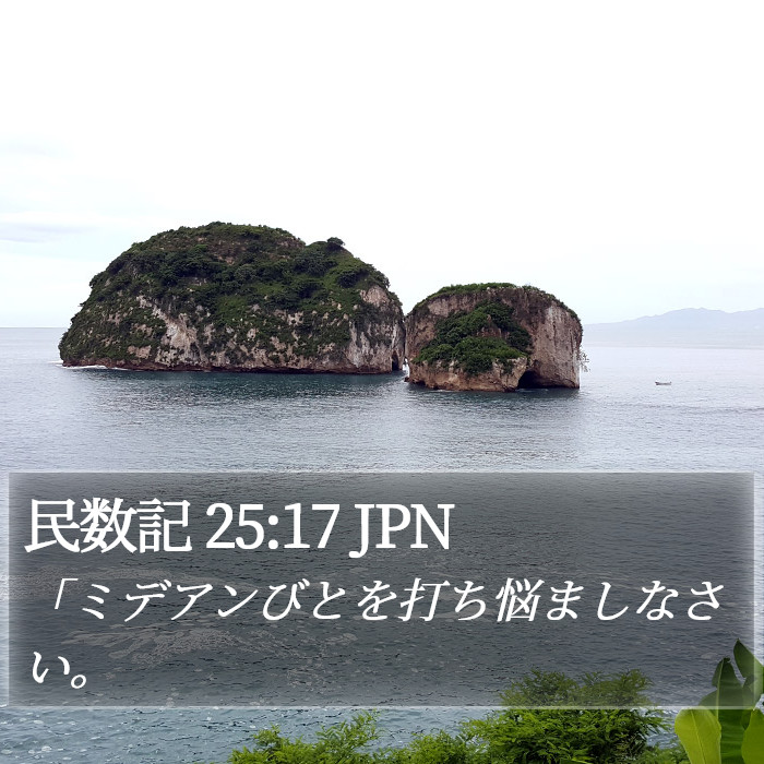 民数記 25:17 JPN Bible Study