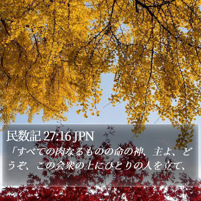 民数記 27:16 JPN Bible Study