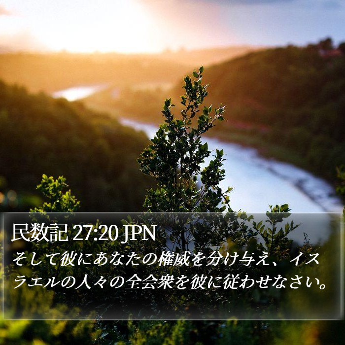 民数記 27:20 JPN Bible Study