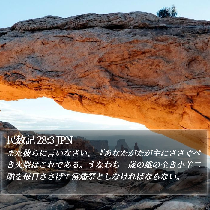 民数記 28:3 JPN Bible Study